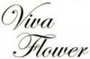 Магазин цветов VIVA FLOWER в Санкт-Петербурге: адреса и телефоны, официальный сайт, каталог товаров
